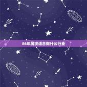 86年属虎适合做什么行业，1986年属虎适合去哪个方向发展