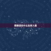 貔貅适合什么生肖人戴，属狗的人适合带貔貅吗？有啥好处不