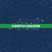 85年的牛2021年的4月运势，属牛人2021年全年运势详解