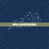 猪和什么属相交朋友最好，猪跟什么属相最合。
