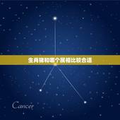 生肖猪和哪个属相比较合适，属猪的和什么属相最忌