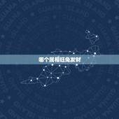 哪个属相旺兔发财，明年什么属相会给兔带来好运气