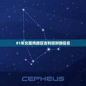 81年女属鸡微信吉利招财微信名，微信用什么头像最吉利？