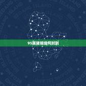 95属猪姻缘何时到，2022 年95猪的姻缘