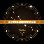 属相兔找什么样的属相结合婚姻，属兔的和什么属相的人结婚好