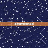 属虎相生相克的属相，十二属相相合与不合