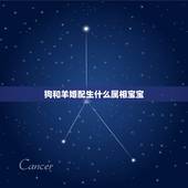 狗和羊婚配生什么属相宝宝，男羊女猴生什么属相的宝宝