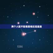 两个人配不配看属相还是星座，星座婚配和属相婚配那个比较准啊？请大师指点