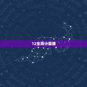 12生肖计算器，农历生肖查询计算器