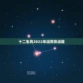 十二生肖2022年运势及运程，2022年运势12生肖运势详解