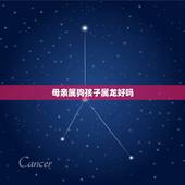 母亲属狗孩子属龙好吗，母亲属狗孩子属龙相克吗