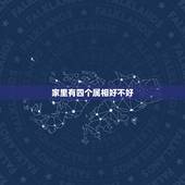 家里有四个属相好不好，家有四个同样的属相好吗