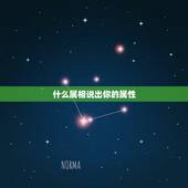 什么属相说出你的属性，怎样知道自己的五行属性？