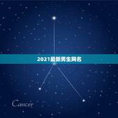 2021最新男生网名，2021男孩名字洋气