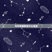 马与羊婚配生什么宝贝，男马女羊的夫妻生什么属相的宝宝好