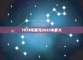 1978年属马2023年多大，1978年属马的人2017年多大