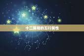 十二属相的五行属性，十二生肖怎么排金木水火