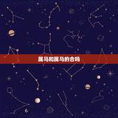 属马和属马的合吗，属马与属马合作怎么样