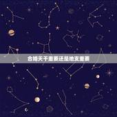 合婚天干重要还是地支重要，请教：2人合婚，天干相合和地支相合，哪个更重