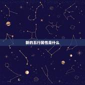 新的五行属性是什么，莳是什么意思 五行属什么