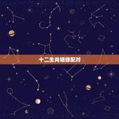 十二生肖姻缘配对，十二生肖最佳姻缘配对