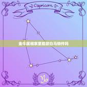 金牛属相家里能放白马物件吗，属马的金牛座适合戴什么首饰