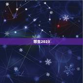 想生2023，2022/2023/2024/2025/2026这几年哪