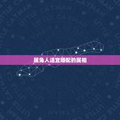 属兔人适宜婚配的属相，属兔的属相婚配表 属兔的人与哪个生肖最配