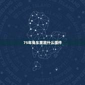 75年兔车里放什么摆件，属兔人的车子上放什么吉祥