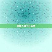 属猪人属于什么命，属猪的什么命