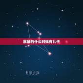 属鼠的什么时候有儿子，属鼠的有儿子吗