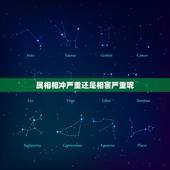 属相相冲严重还是相害严重呢，属相相冲是什么意思