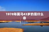 1978年属马43岁的是什么命，1978年，属什么，五行是什么