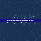 马和狗生的宝宝属相最好是哪一个，属马男和属狗女生那个属相宝宝最好