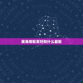 属兔婚配更好和什么最配，兔跟什么生肖配对更好