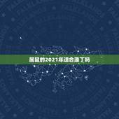 属鼠的2021年适合添丁吗，84年属鼠的人2023年家里有添丁吗？