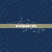 属马克星是哪个属性，属马一生的贵人和克星