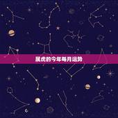 属虎的今年每月运势，属虎人2016年每月运势