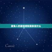 属兔人的最佳婚配属象是什么，属兔的和哪几个属性是最佳配偶