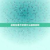 店里生意不好放什么植物招财，店里可以摆假花吗？风水一说