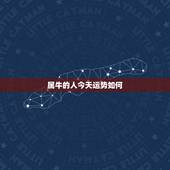 属牛的人今天运势如何，属牛的人2017年的运势如何