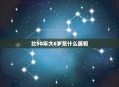 比90年大6岁是什么属相，比95年属猪的大六岁属相