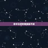 命中注定的姻缘躲不掉 命中注定的姻缘躲不掉真实故事