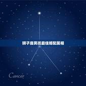 狮子座男孩最佳婚配属相，属相兔狮子座的最佳配偶