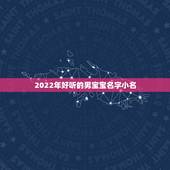 2022年好听的男宝宝名字小名，2022年属虎名字宜用字
