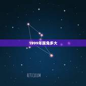 1999年属兔多大，2012属兔的多大了