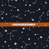 属龙的和属鼠的相配吗，属龙的和属鼠的合不合