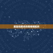 属鼠和属虎的婚姻相配吗，属虎男生和属鼠女生婚姻配吗