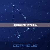 牛属相在2021犯太岁吗，属龙2021年犯太岁吗，属龙人破太岁化解方法