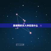 属相鸡的女人伴侣是什么，属鸡和什么属相最配